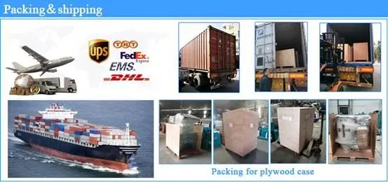 shipping shipping